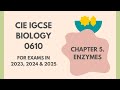 Enzyme Activity and Function Concepts