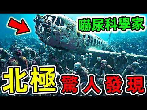 北極最可怕的10個驚人發現！冰川底部拍攝的恐怖畫面，第一名科學家直接被嚇尿。|#世界之最top #世界之最 #出類拔萃 #腦洞大開 #top10 #北極 #驚人發現