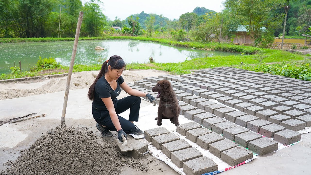 Making Handmade Cement Bricks – DIY Bricks to Build Irrigation tanks for the Garden/ Part 3