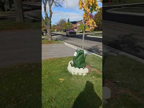 New Road - Road Making process #canada#newroads#satisfying#beautiful#spreadlove#spreadinghappiness