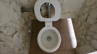 Antique Meyer Sniffen Vortex Special toilets
