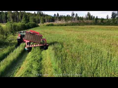 Silage Season on Our Farm ~ 2026