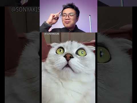 Try Not To Laugh 🤣 234 #funny #viralvideo #shorts