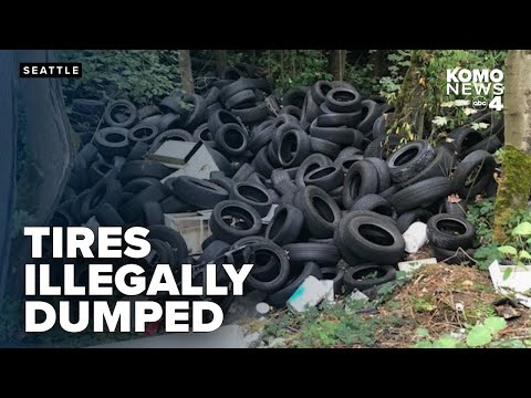 Hundreds of tires found illegally dumped in West Seattle greenbelt, cleanup underway