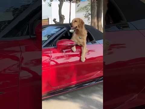 Reo ke gaane๐ #shorts | Anant Rastogi