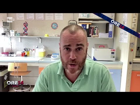 Garlasco, ex consulente di Stasi: "Mai saputo dei risultati negativi" - Ore 14 Sera 01/10/2026