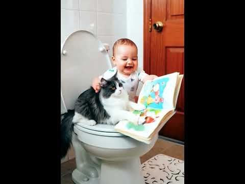 Babies and kittens #baby #dance #play #study #cutebaby #love