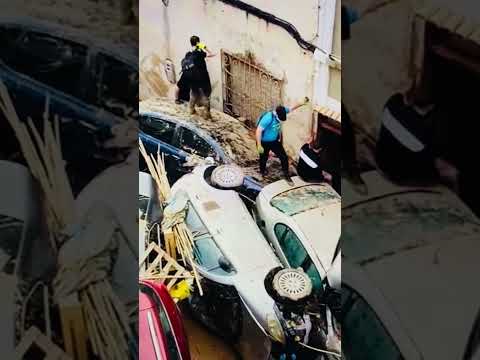 Too many cars on the street #cars #stormdamage #share #subscribe