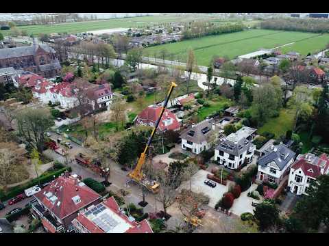 Vervangen zomereik Voorburg - Video 1