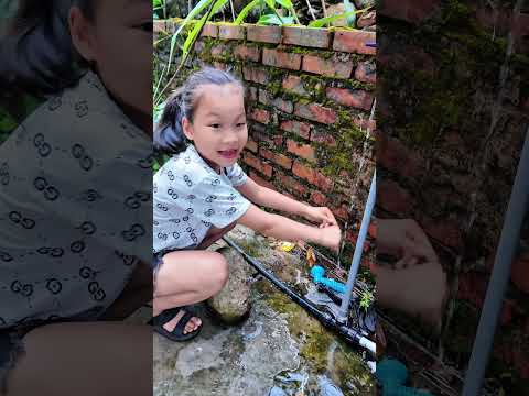 Trước khi ăn phải nhớ rửa tay sạch sẽ nha các bạn #shorts