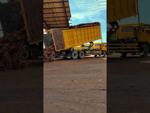 turunkan buah dlu bos