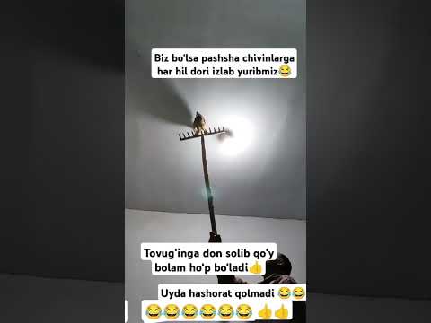 Layk bosib qo‘ying bitta #rek