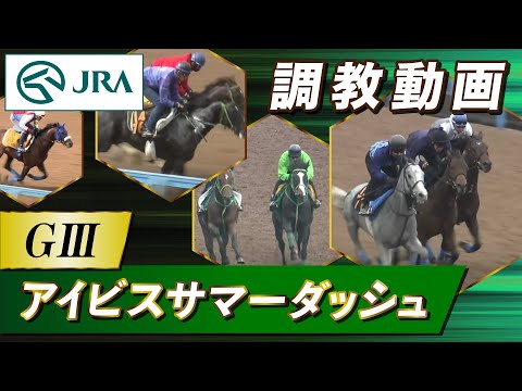 【調教動画】2025年 アイビスサマーダッシュ｜JRA公式