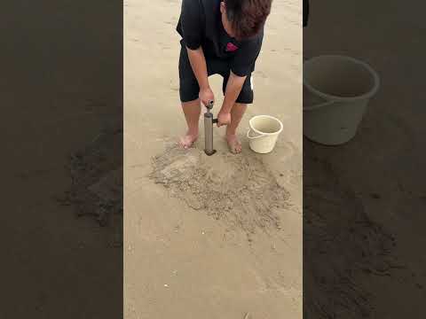Going to the sea to catch mantis shrimps and directly slapped the mantis shrimps away