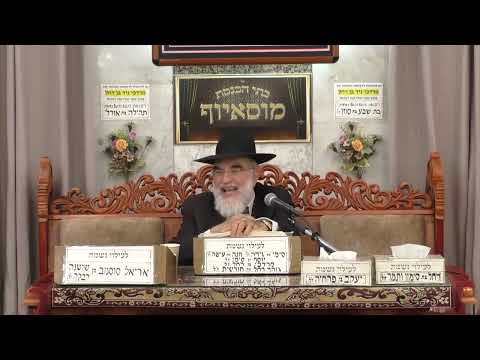 הרב יוסף רביבו | דרכי חינוך | בית הכנסת מוסאיוף