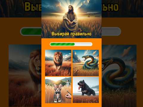 Выберите с мудростью 🧠