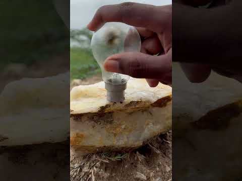 I made jungle survival lamp