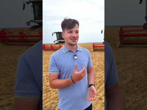 O combină Claas Lexion 8900 versus 3 Evion 450 Maxi