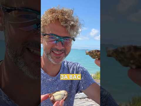 Устричный рай во Франции | смотрите велоспериал на канале  @Vsevsad
