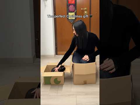 The Perfect Christmas Gift My Cat Got Me ๐ #cats #christamsgift