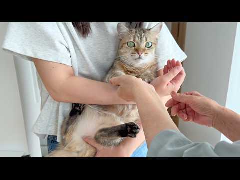 久しぶりに遊びに来た母に触られまくった結果…笑