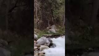 Mountain rivers. Eternal Love - Water and Stone. #Shorts