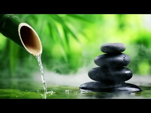 Bamboo Water Fountain & Relaxing Healing 24/7 自然の音とともに音楽をリラックス バンブーウォーターファウンテン 【癒し音楽BGM】