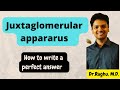 Juxtaglomerular Apparatus Functions and Mechanisms
