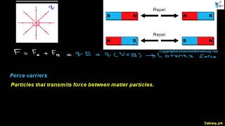 More on Basic Forces of Nature