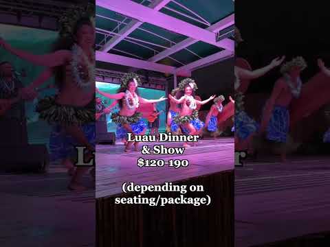 Week in Hawaiii | Day 5 | Real Hawaii Tours