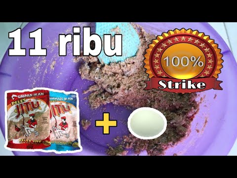 Umpan Harian Ikan MAS, Dijamin gak Bengong!! Murah tapi tidak Murahan Am#67