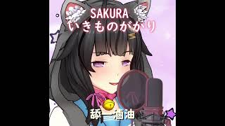 【卡滋可可】一起唱日文歌吧！《SAKURA》