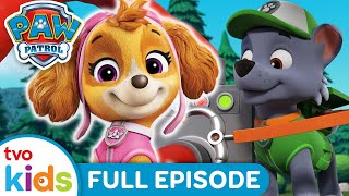 Pups Save the Salmon 🐟| 🐾 PAW PATROL 🐶 | Rescue Dogs Help Save The Day ⛑️ | Season 8 | TVOkids