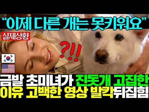 [실제영상]<strong>시바견</strong> 짝퉁 취급받던 <strong>진돗개</strong>, 한번 키워본 미국인들이 헤어나오지 못하는 이유..ㅎㄷㄷ