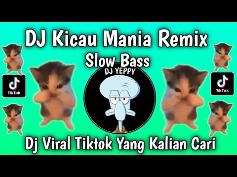 DJ KICAU MANIA SLOW BASS VIRAL TIKTOK NEWEST 2026