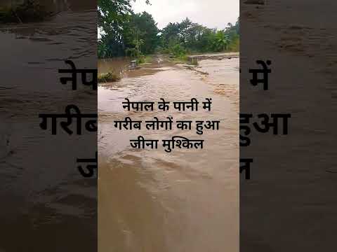 नेपाल के पानी से गरीब लोगों का हुआ जीना मुश्किल #viral #shortvideos #trending #viralvideo #shortvide