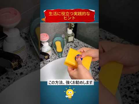 生活に役立つ実践的なヒント#ヒント #生活 #家事 #shorts