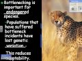 Population Genetics and Evolution Concepts