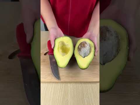 How to extract avacado oil from the avacado fruit. #recipe  #processing  #food #oilextraction