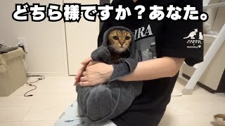 1年ぶりにあの新メンバーに再会する事が出来ました。
