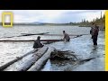 Building a Raft on the Yukon