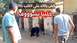 أظن واضح قوي والخوف باين عليه . ادخل ياااد ورينا قوه #الكلب وشخصيته. بيقولوا #كلاب_شرسة !!