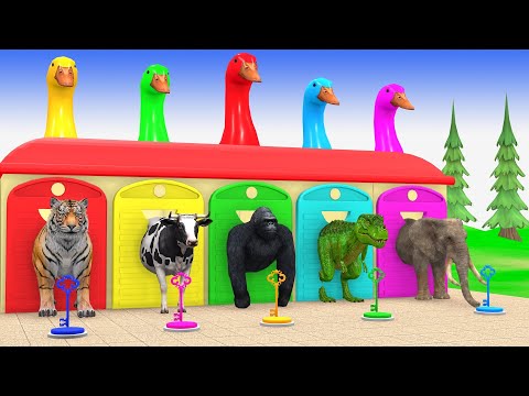Long Slide Game With Cow Elephant Gorilla Hippopotamus Tiger 3d Animal Game Funny 3d Animals