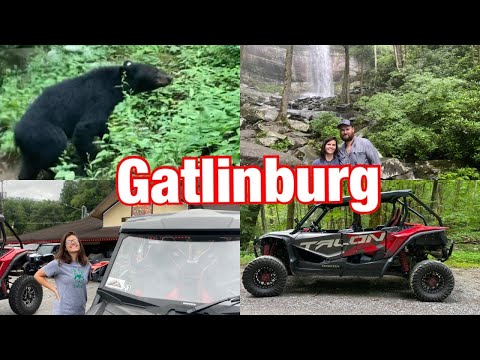 We had a Bear encounter in the Smokey Mountains