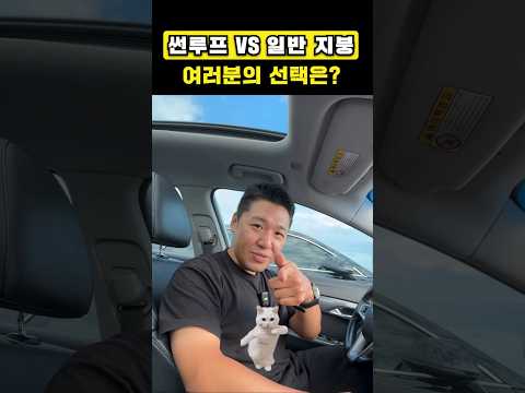 차쟁이가 파노라마 선루프 #파썬 싫어하는 이유