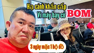 Máy bay có BOM hạ cánh khẩn cấp ,VC Nhật Cường 3 ngày mặc 1 bộ đồ
