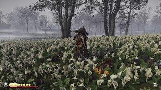 Ghost of Tsushima: All in the Wrist // Witness Protection