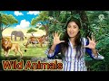 Animal Habitats and Characteristics