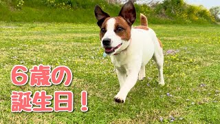 6歳の誕生日！なのはと幸せな一日