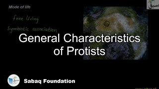 General Characteristics of Protists